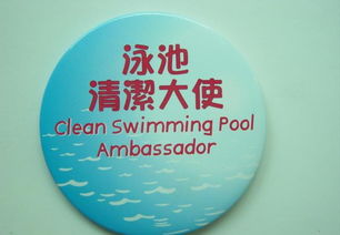 馬口鐵徽章 定制價格、廠家選擇與廣告應用全攻略